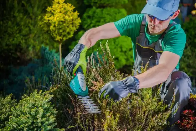 landscaping services Sheffield